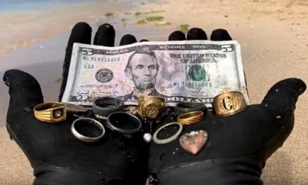 This Treasure Hunter Found 9 Rings Underwater with His Metal Detector