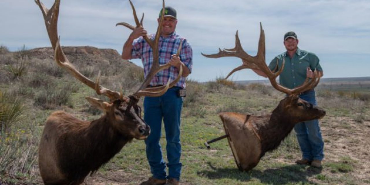 Two Oklahoma Men Claim Non-Typical Elk Records