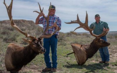 Two Oklahoma Men Claim Non-Typical Elk Records