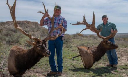 Two Oklahoma Men Claim Non-Typical Elk Records