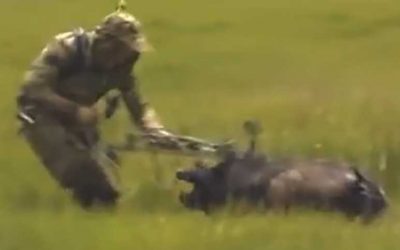 Video: In Case You Needed Proof Wild Hogs are Dangerous