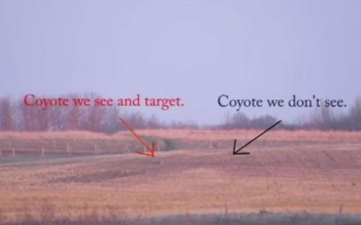 Video: This Might Be the Longest Coyote Kill Shot We’ve Seen