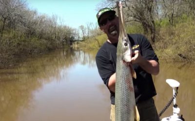 Video: Tim Wells Sticks Blowgun Longnose Gar Record