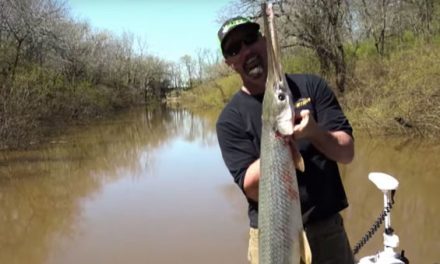 Video: Tim Wells Sticks Blowgun Longnose Gar Record