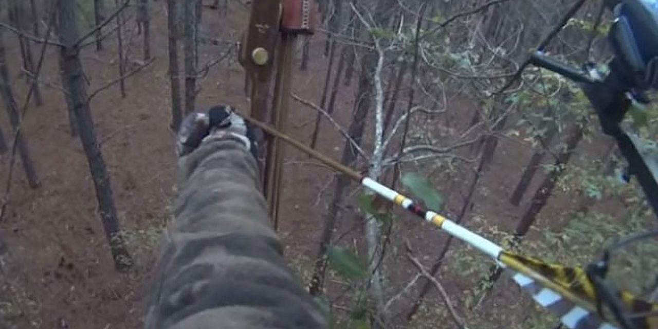 Video: Watch What a Recurve Does to This Running Coyote
