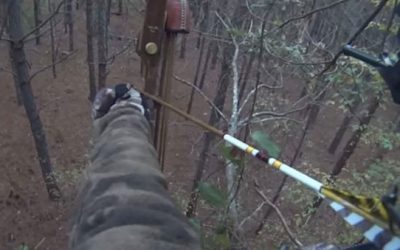 Video: Watch What a Recurve Does to This Running Coyote