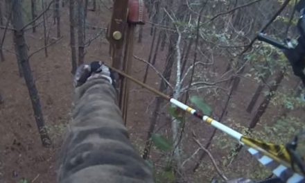Video: Watch What a Recurve Does to This Running Coyote