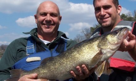 Virginia 2019 Walleye Fishing Forecast