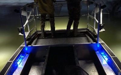 Walleye Spawn 2019
