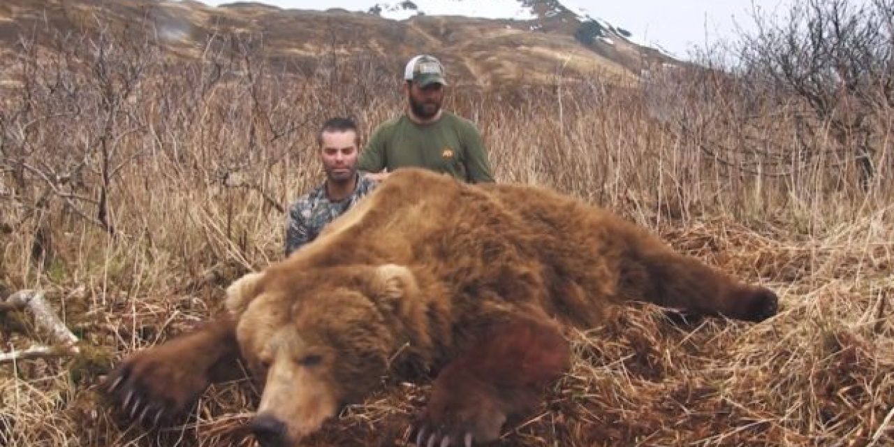 Watch How One Single Predator Call Sends This Bear Running Straight into a Hunter’s Scope