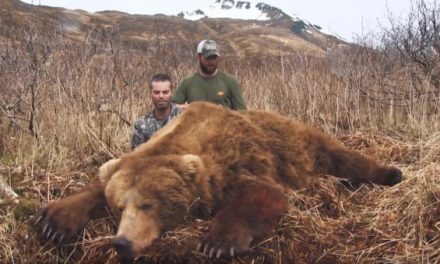 Watch How One Single Predator Call Sends This Bear Running Straight into a Hunter’s Scope