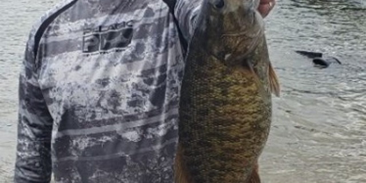 Watts Bar Record Smallie Broken, Again