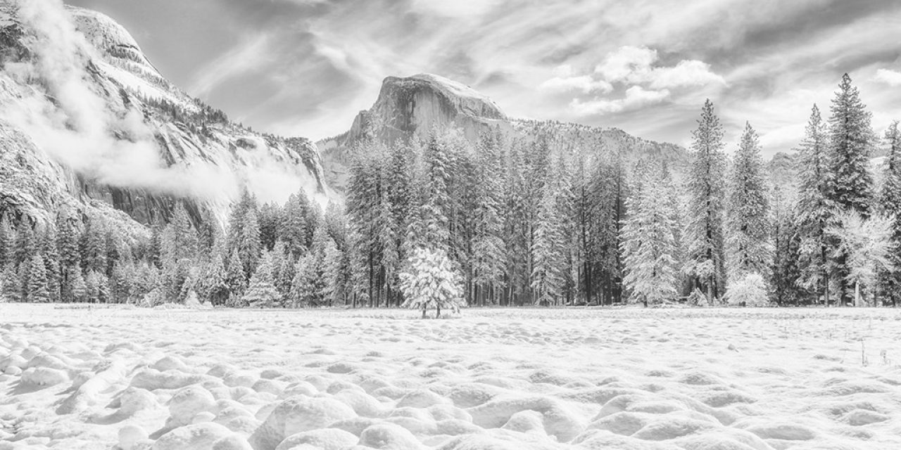 Winter Black-And-White Assignment Winner Menx Cuizon