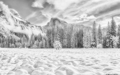 Winter Black-And-White Assignment Winner Menx Cuizon
