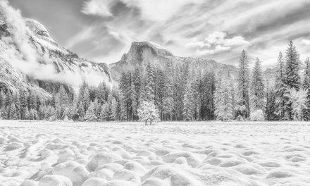 Winter Black-And-White Assignment Winner Menx Cuizon