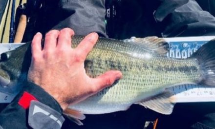 YakGear – Top Ten Tips for Kayak Fishing Beginners