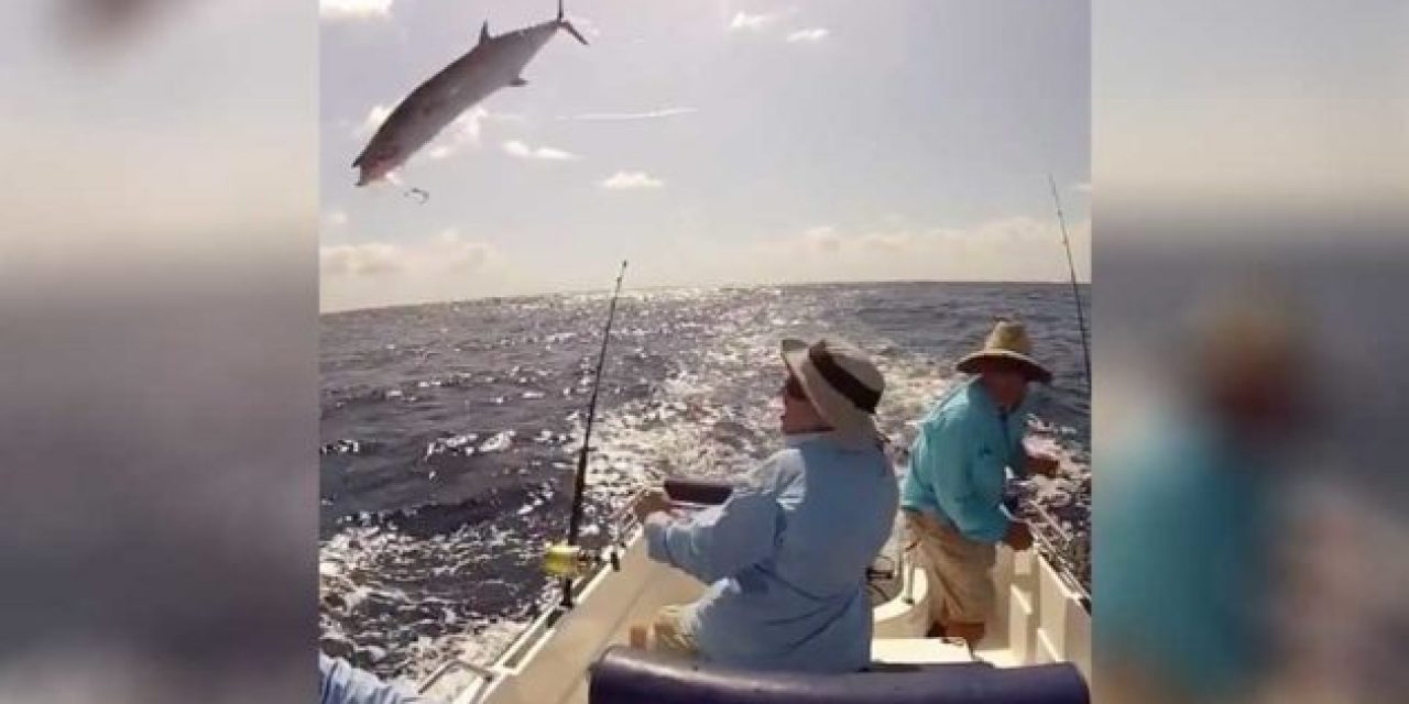 10 Times Fishing Gave Us the Completely Unexpected