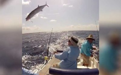 10 Times Fishing Gave Us the Completely Unexpected