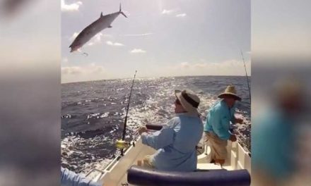 10 Times Fishing Gave Us the Completely Unexpected