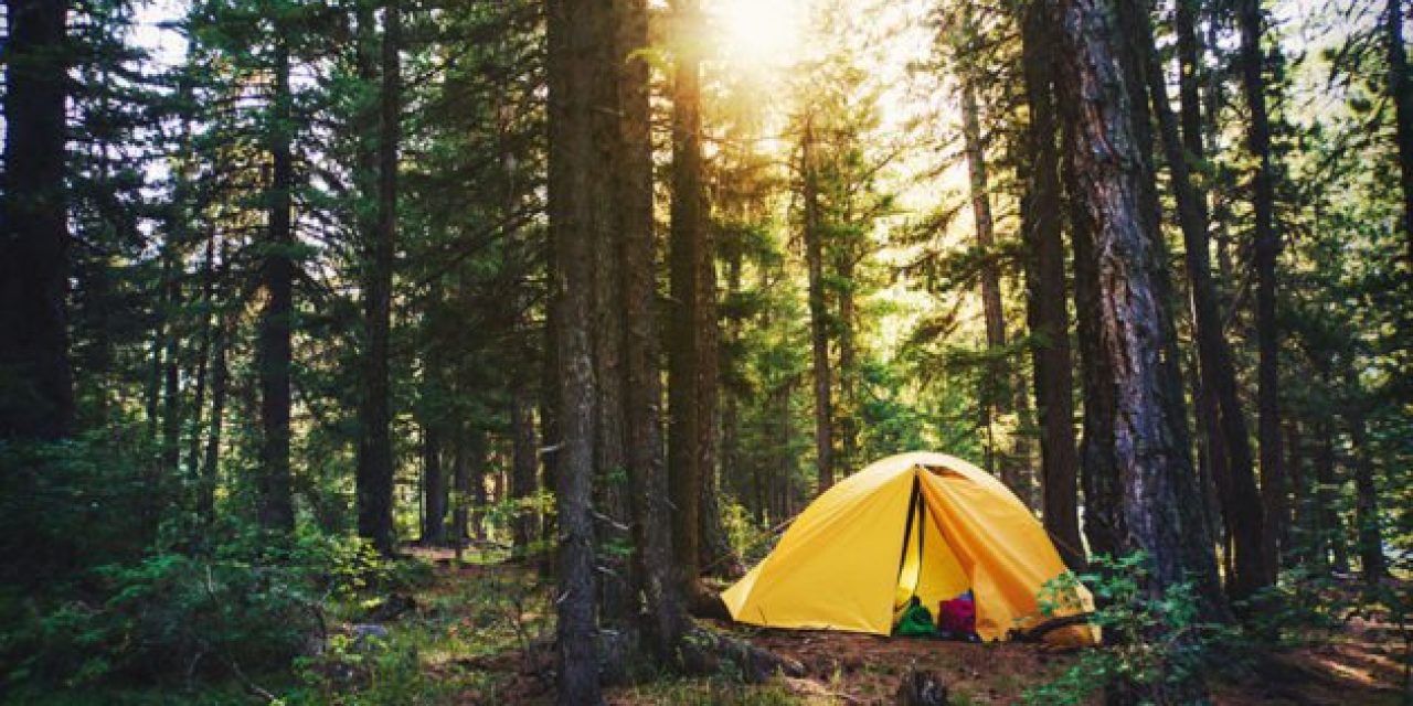 15 Camping Gadgets You Can Get on Amazon for Less Than $50