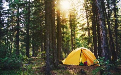 15 Camping Gadgets You Can Get on Amazon for Less Than $50