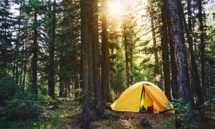 15 Camping Gadgets You Can Get on Amazon for Less Than $50
