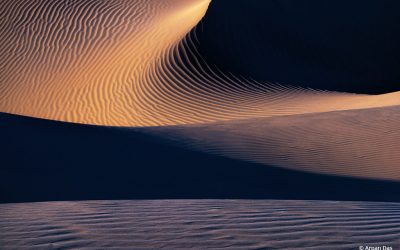 Abstract Nature Assignment Winner Arpan Das