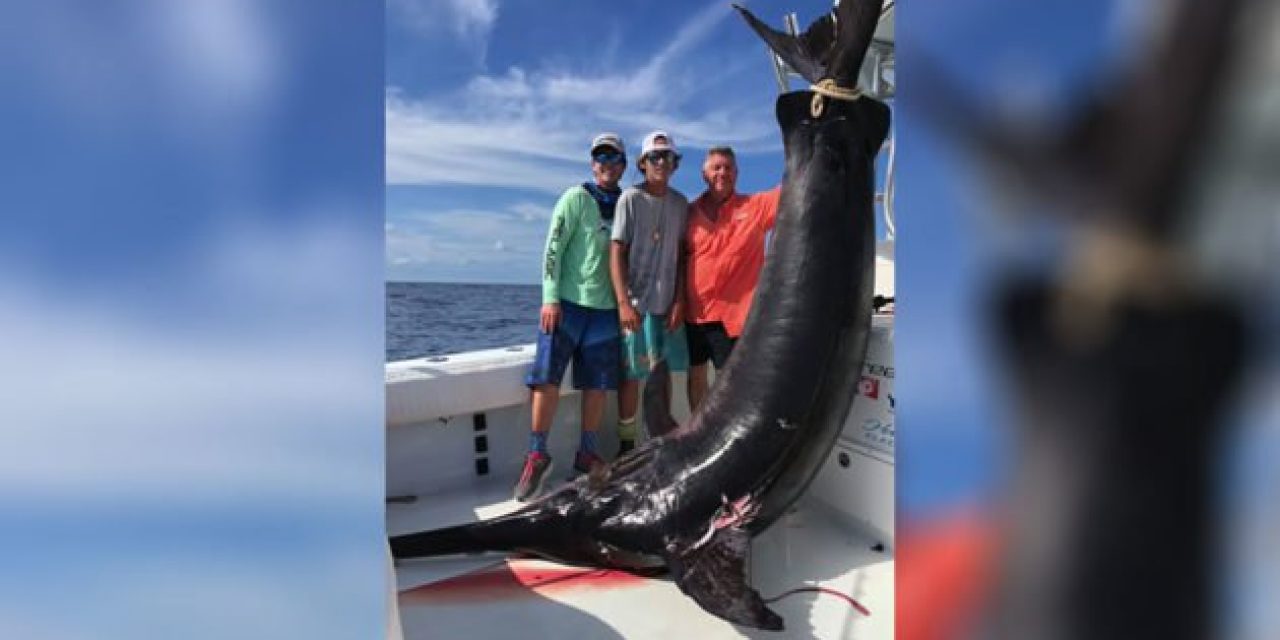 Angler Lands 757-Pound Swordfish in Florida