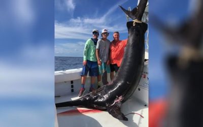Angler Lands 757-Pound Swordfish in Florida