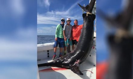 Angler Lands 757-Pound Swordfish in Florida