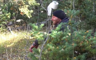 Camping Season is Here. Time to Learn How to Poop in the Woods.