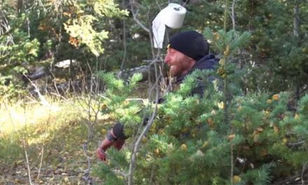 Camping Season is Here. Time to Learn How to Poop in the Woods.