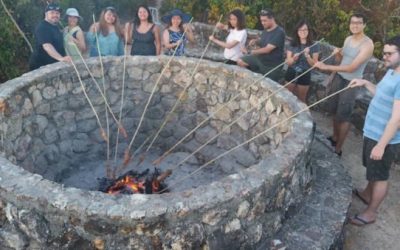 Check Out the Weird And the Wonderful Wild Game They Grill Around the World