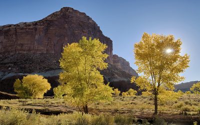 Create Dramatic Light With Backlight, Part 2