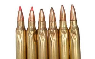 Dog in Arkansas Consumed 23 Rounds of .308 Ammo, and Was Still Hungry