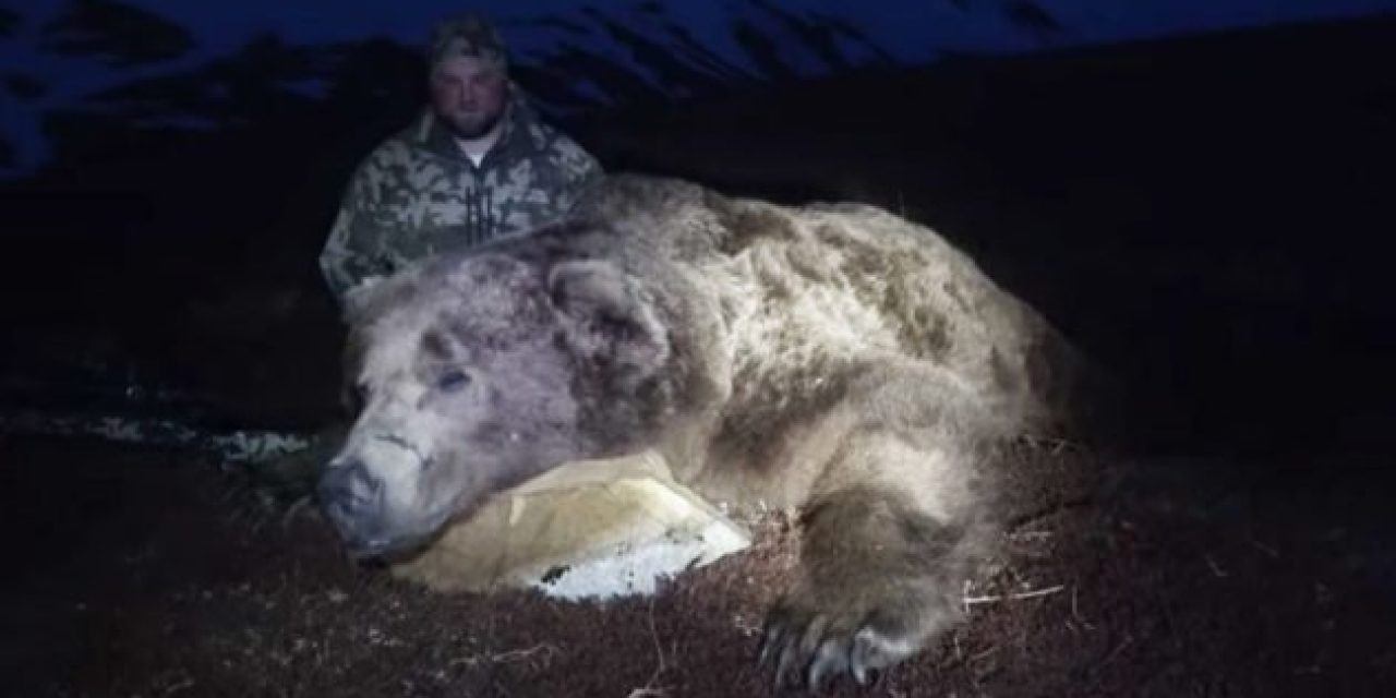 Epic Alaska Brown Bear Hunt Ends With Absolute Monster