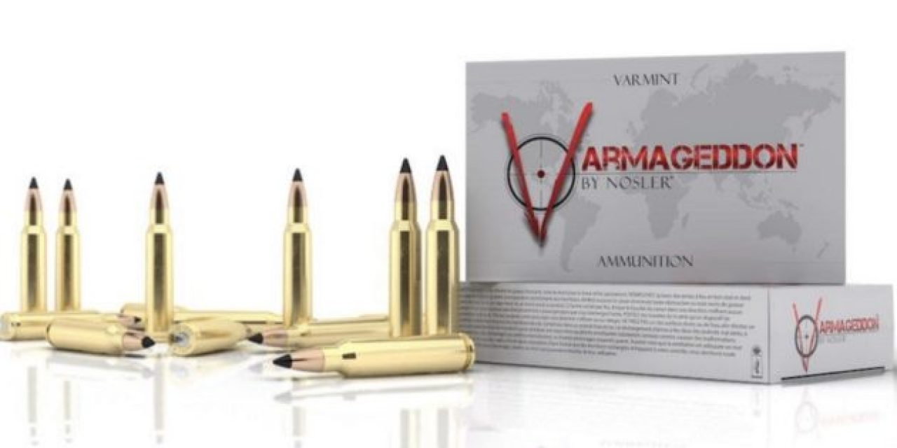 Everything You Need to Know About Nosler Varmageddon Ammo
