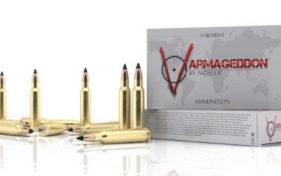 Everything You Need to Know About Nosler Varmageddon Ammo