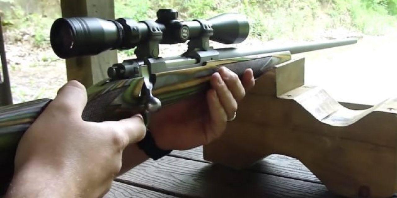 Everything You Need to Know About the Ruger Hawkeye Predator Rifle