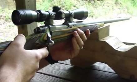 Everything You Need to Know About the Ruger Hawkeye Predator Rifle