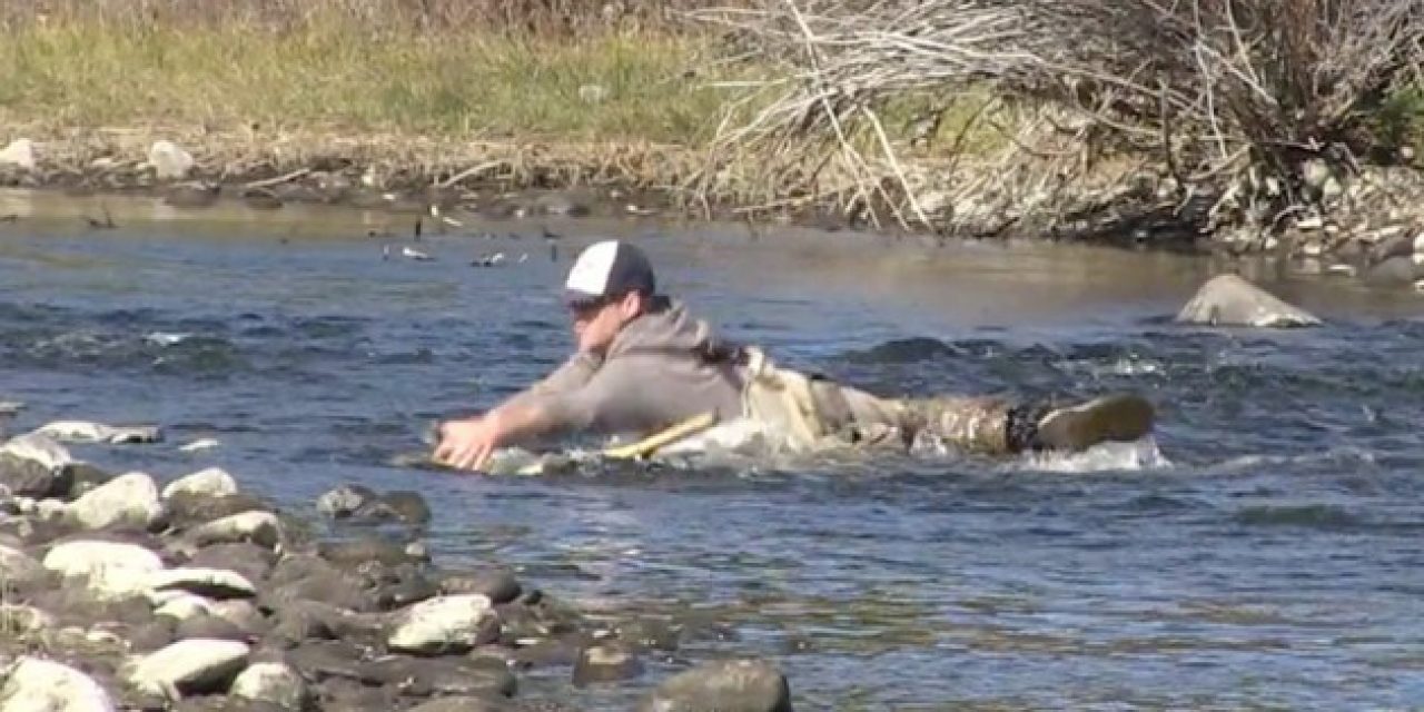 Fishing Guide Takes a Day Off, Ends Up Wrestling a Brown Trout