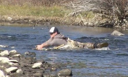 Fishing Guide Takes a Day Off, Ends Up Wrestling a Brown Trout