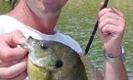 Fishing Panfish In Spring With Mepps