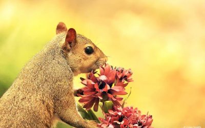 Get Ready For Spring Assignment Winner Linn Smith