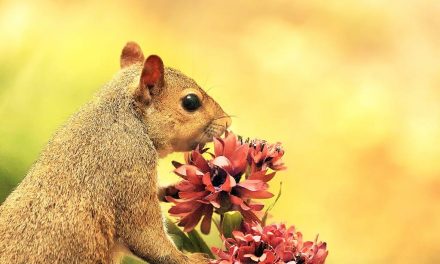 Get Ready For Spring Assignment Winner Linn Smith