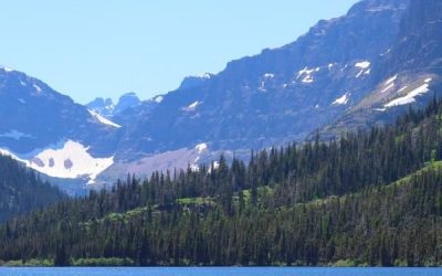 Help Prevent Spread of Invasive Species In Montana