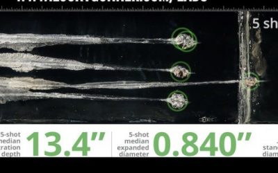 How Did Your Self-Defense Ammo Do in the Lucky Gunner Ballistics Test?