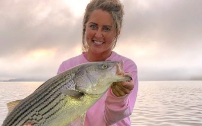 Kentucky Lake Cumberland Striped Bass Heating Up