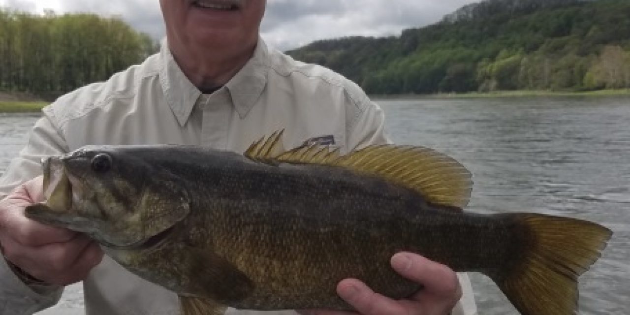 Keystone Connection Fishing Guide Service Smallie Success