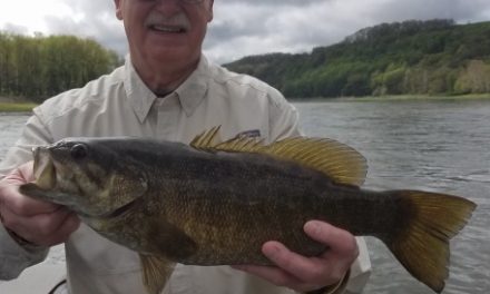 Keystone Connection Fishing Guide Service Smallie Success